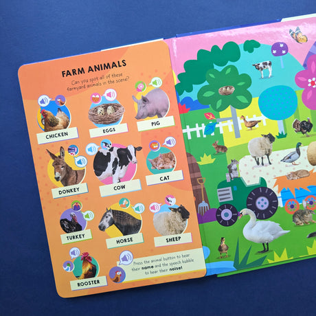 Look And Find Animal Words & Sounds - Children's 100 Button Sound Book