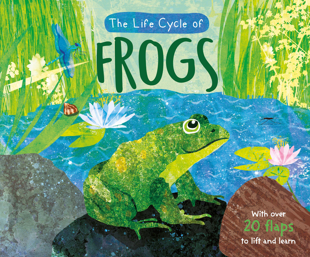 The Life Cycle of Frogs - Children’s Lift-the-Flap Book