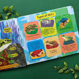 The Life Cycle of Frogs - Children’s Lift-the-Flap Book