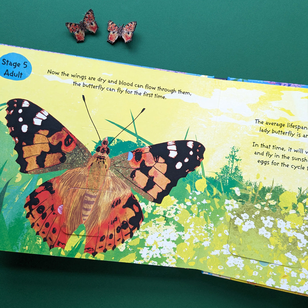 The Life Cycle of Butterflies - Children’s Lift-the-Flap Book