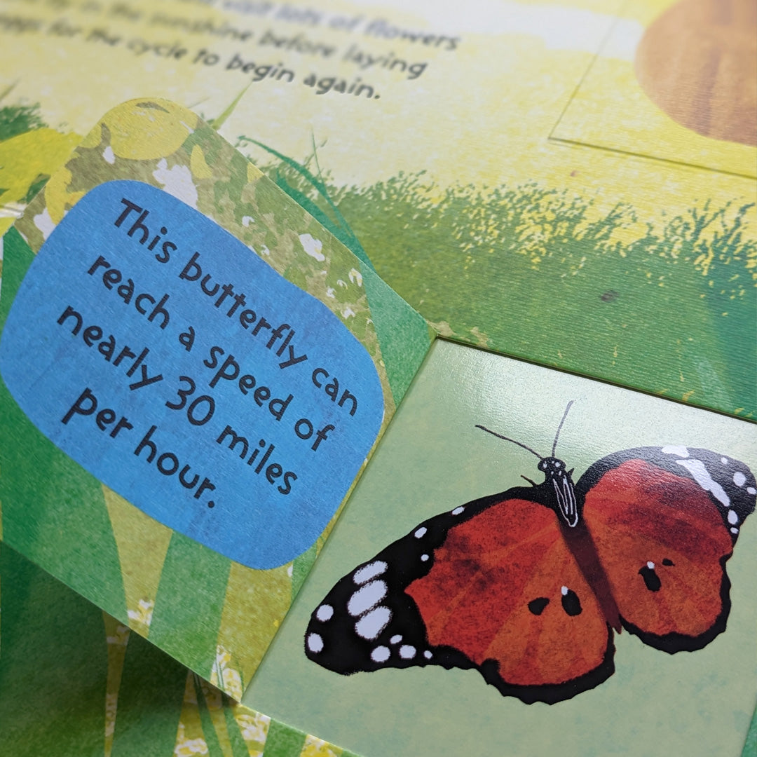 The Life Cycle of Butterflies - Children’s Lift-the-Flap Book