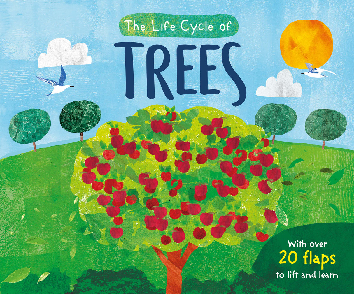 The Life Cycle of Trees - Children’s Lift-the-Flap Book