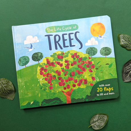 The Life Cycle of Trees - Children’s Lift-the-Flap Book