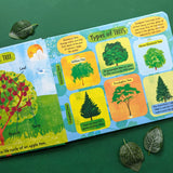 The Life Cycle of Trees - Children’s Lift-the-Flap Book