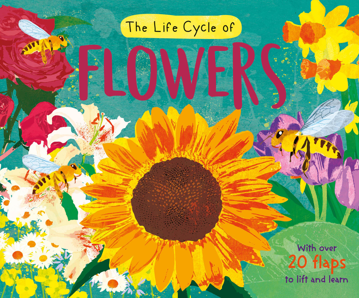 The Life Cycle of Flowers - Children’s Lift-the-Flap Book