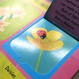 The Life Cycle of Flowers - Children’s Lift-the-Flap Book