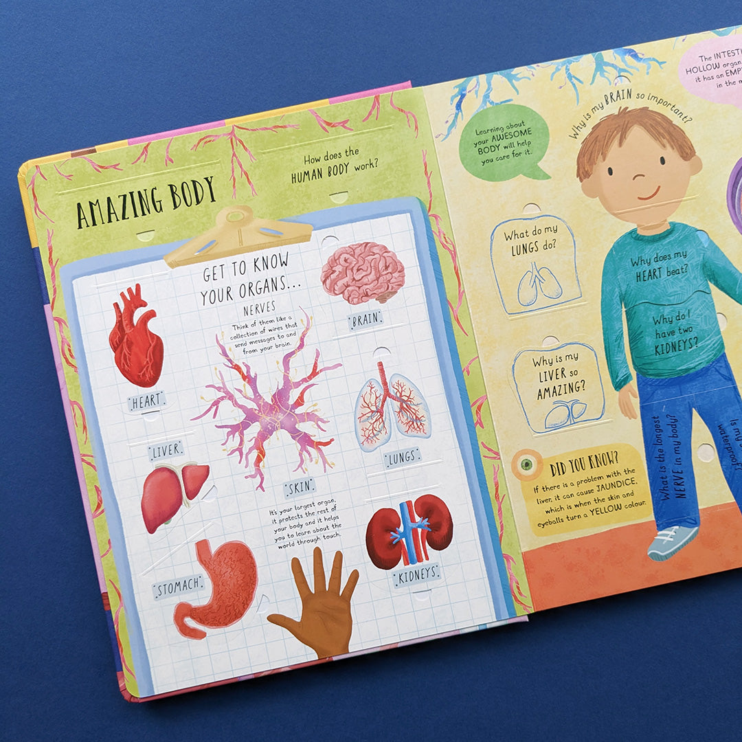 How Does The Human Body Work? - Children’s Question & Answer Book