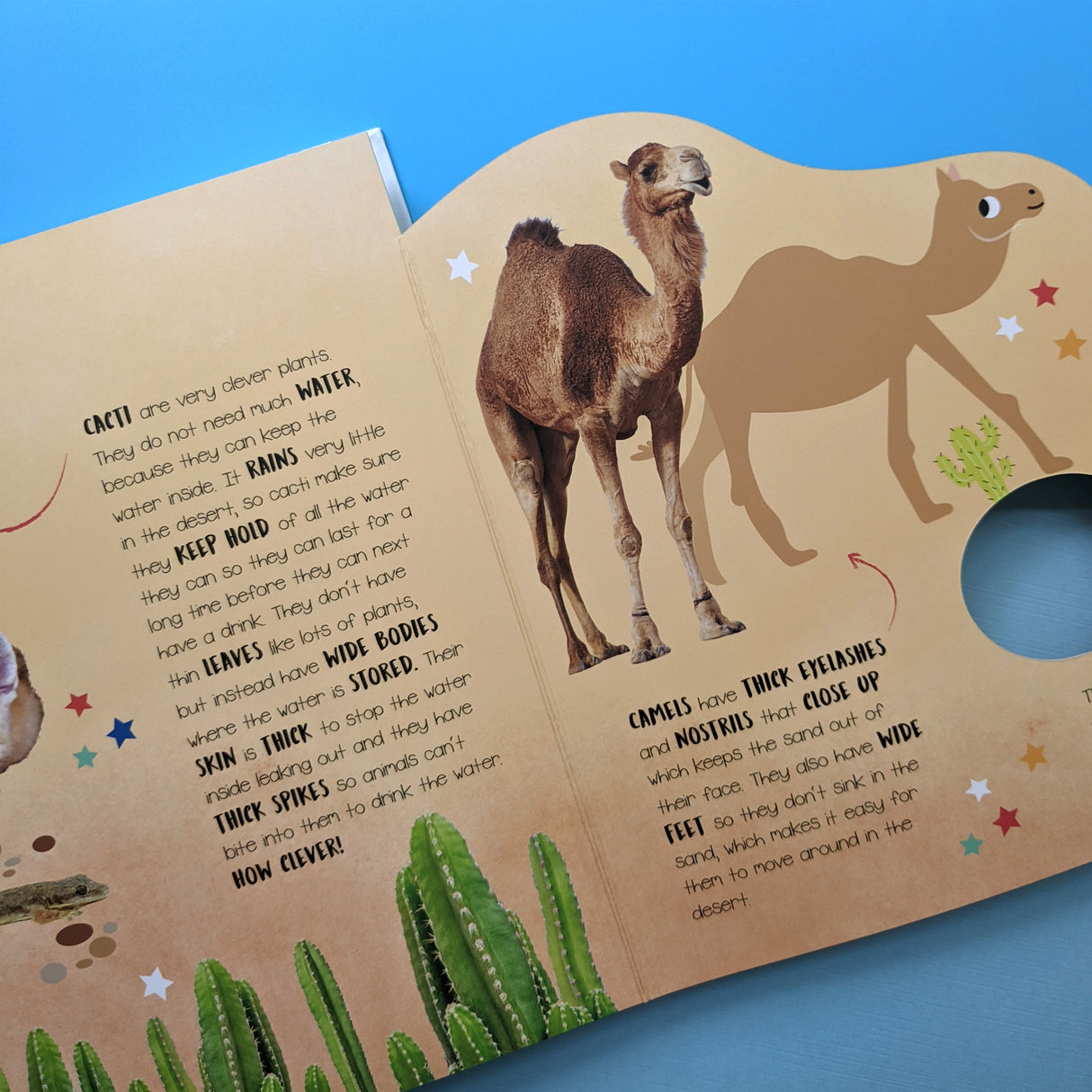 Habitats: From All Around the World - Children’s Lift-the-Flap Book