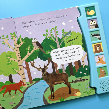 Noisy Forest - Children's 6 Button Sound Book