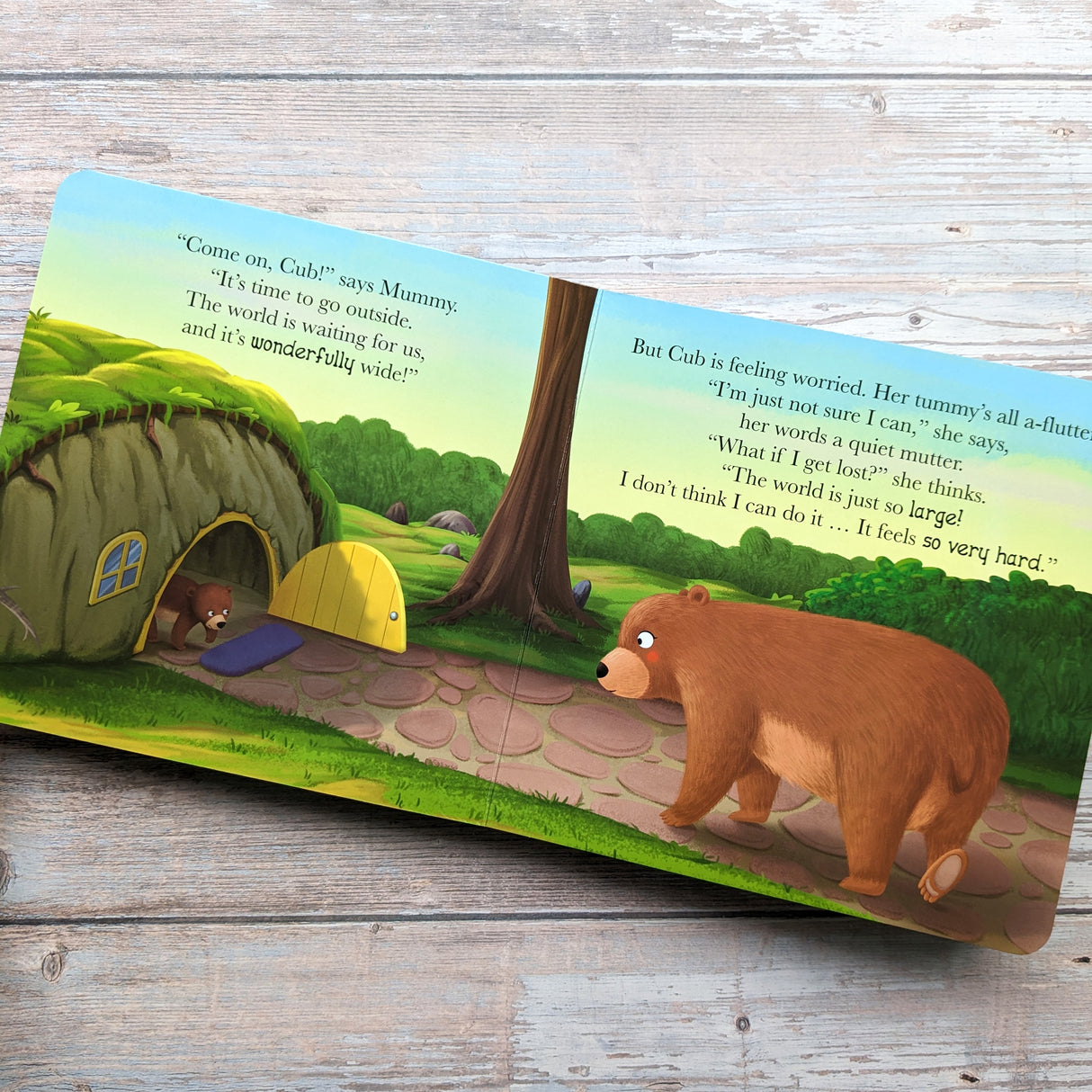 When Bear Feels Worried - Me And My Feelings Children's Board Book