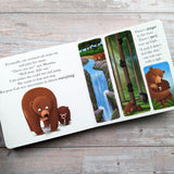 When Bear Feels Worried - Me And My Feelings Children's Board Book