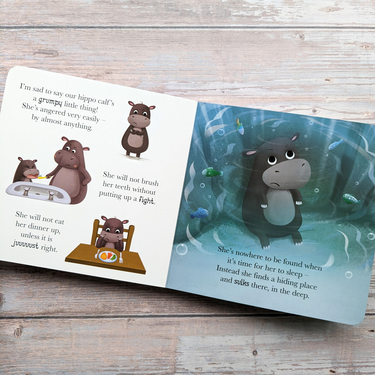 When Hippo Gets Angry - Me And My Feelings Children's Board Book