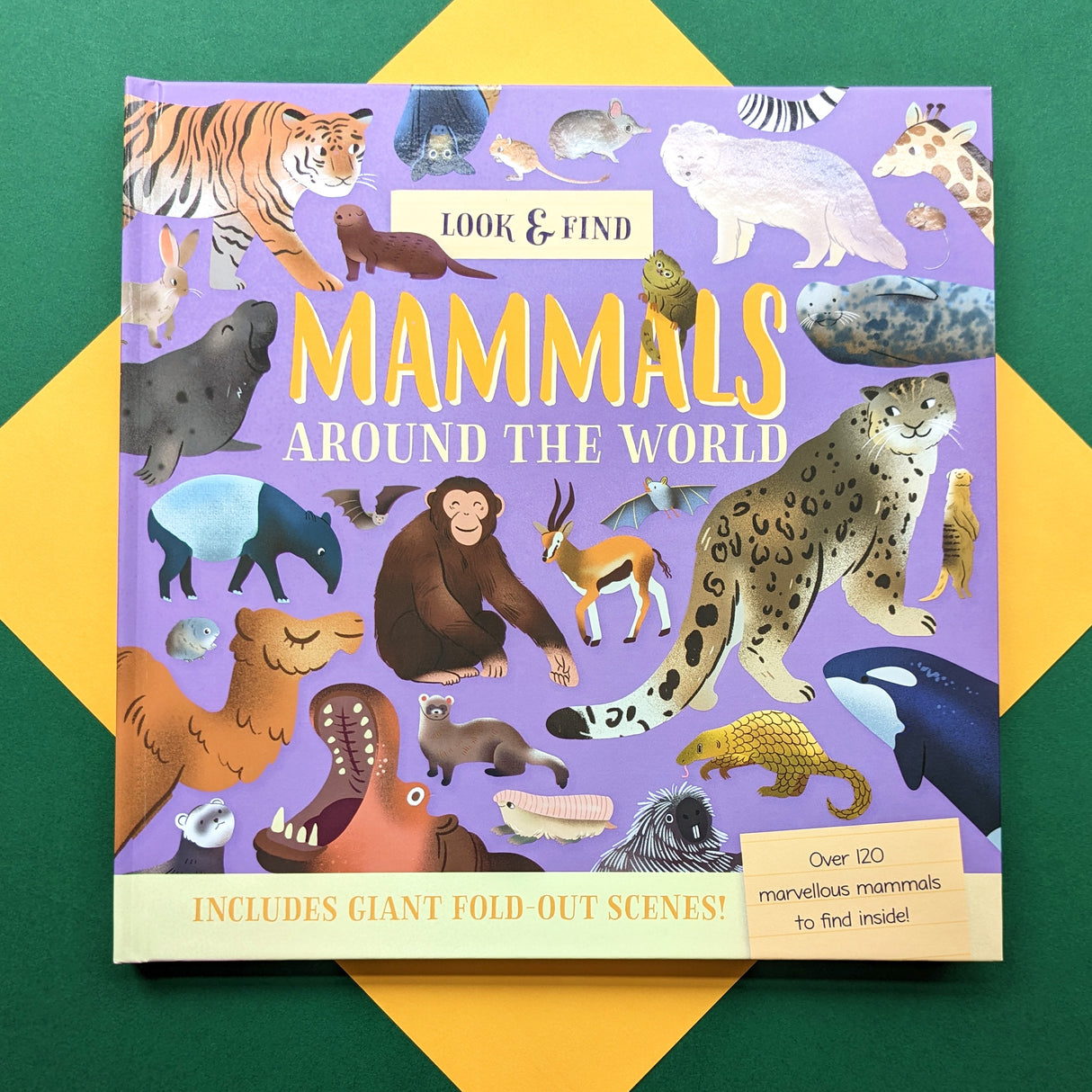 Mammals Around The World - Children’s Look & Learn Book