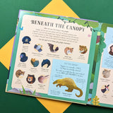 Mammals Around The World - Children’s Look & Learn Book