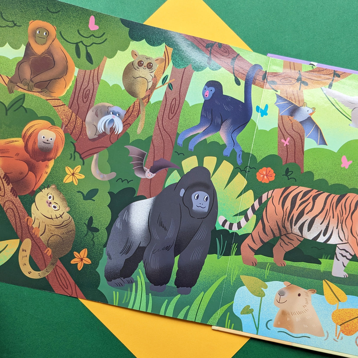 Mammals Around The World - Children’s Look & Learn Book