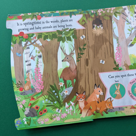 Let’s Explore The Noisy Woods - Children's 6 Button Sound Book