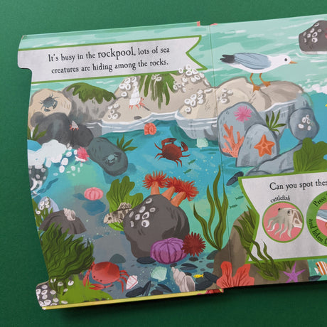 Let’s Explore The Noisy Ocean - Children's 6 Button Sound Book