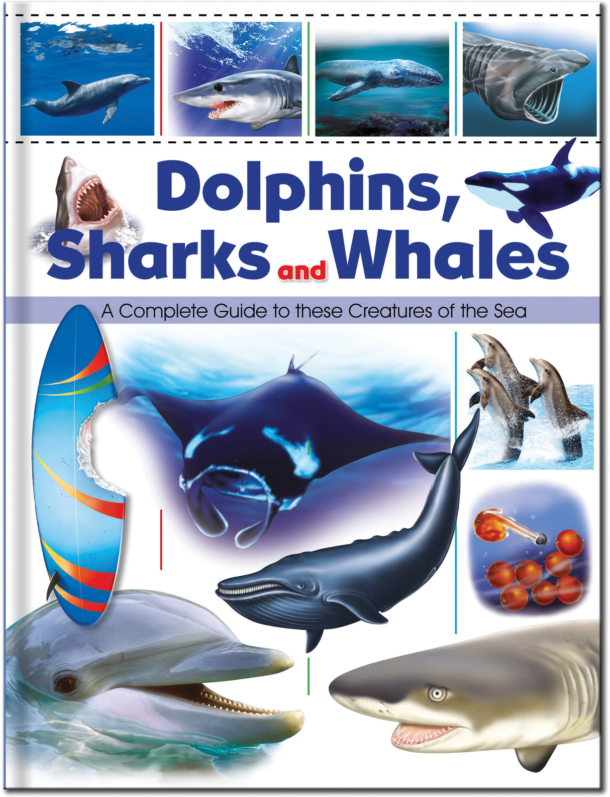 Dolphins, Sharks and Whales - Children's Reference Book