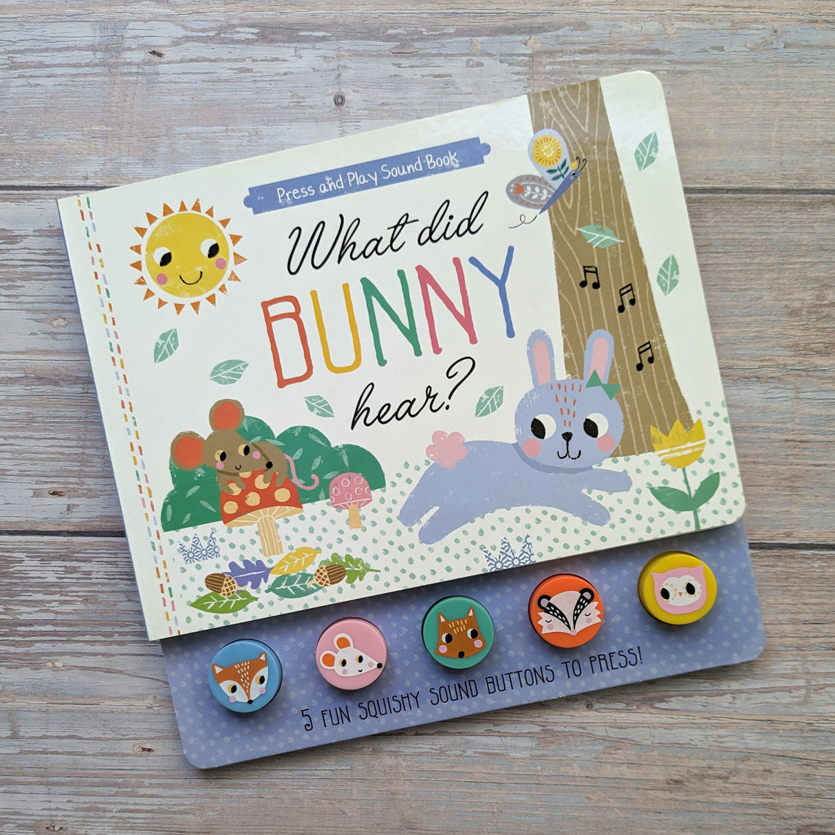 What Did Bunny Hear? - Children's 5 Button Sound Book