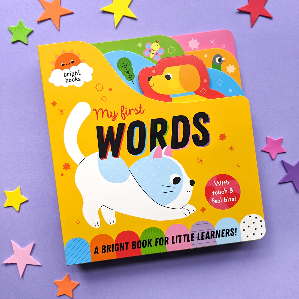 My First Words - Rainbow Colour Board Book