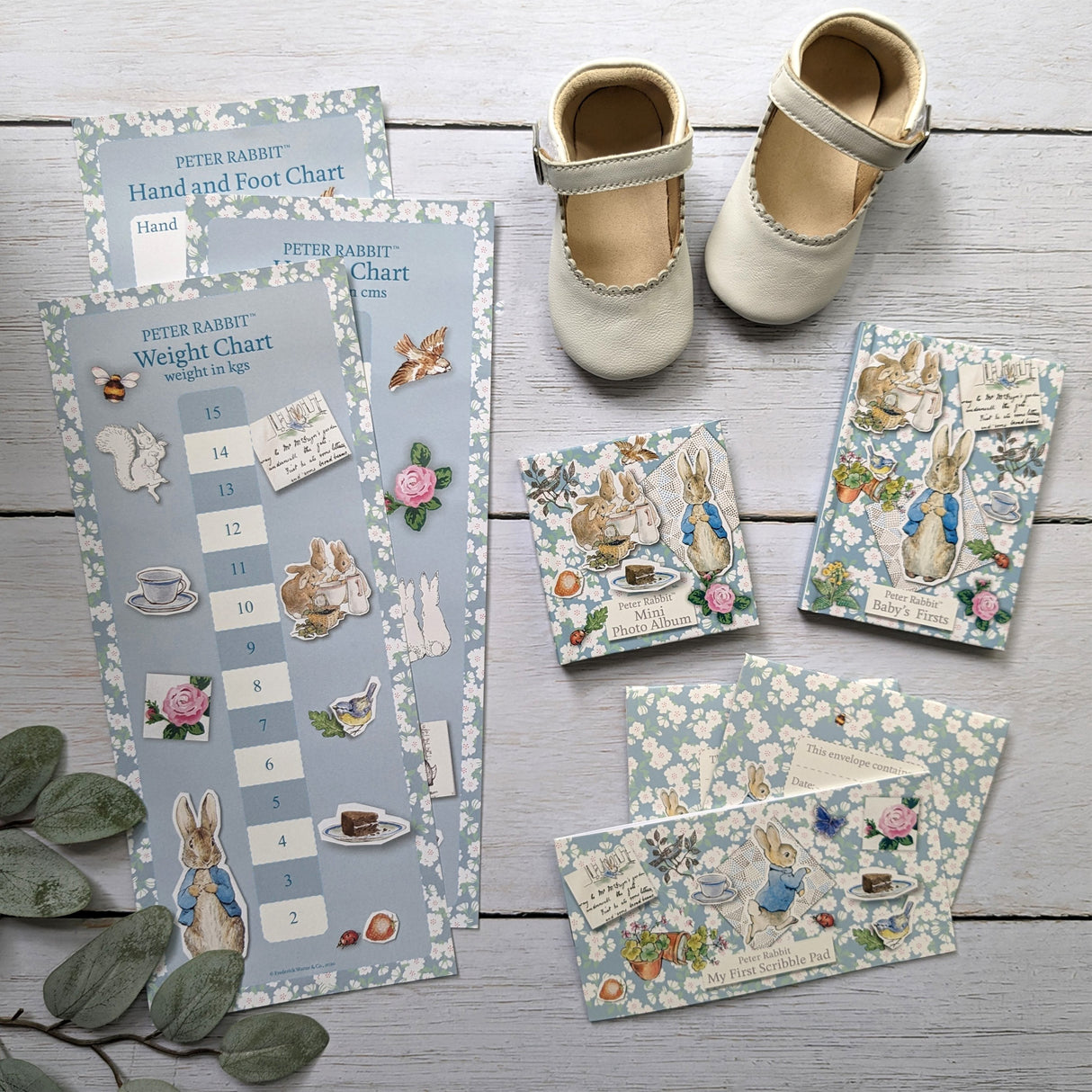 Peter Rabbit Baby Keepsake Capsule - Record Your Baby Milestones