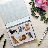 Patricia MacCarthy Dogs Notecards and Envelope Set