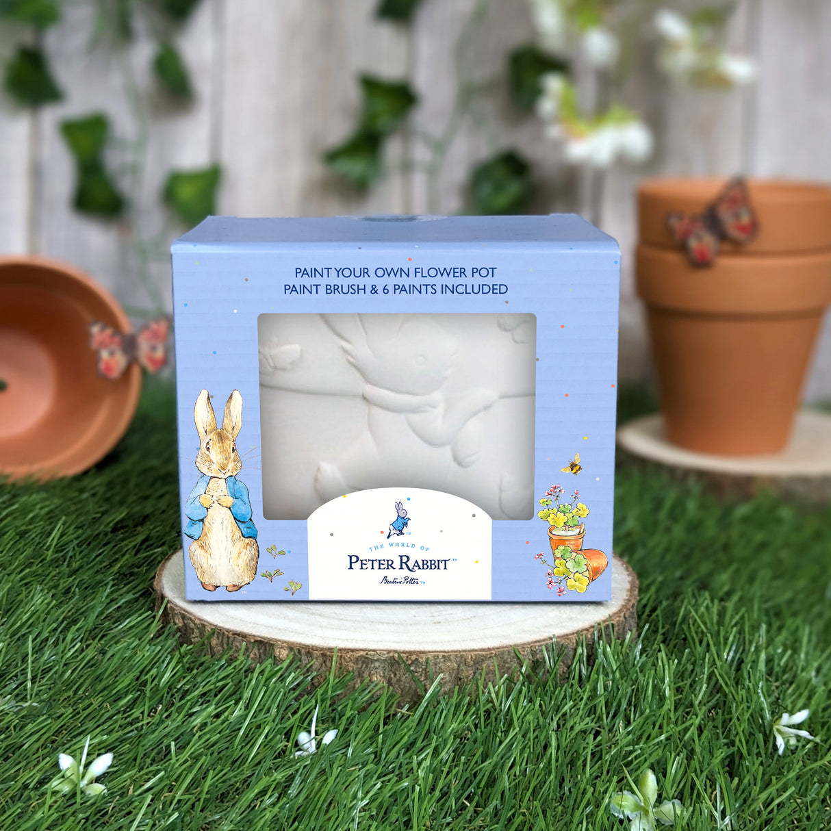 Peter Rabbit Paint Your Own Plant Pot - Children's Craft Kit