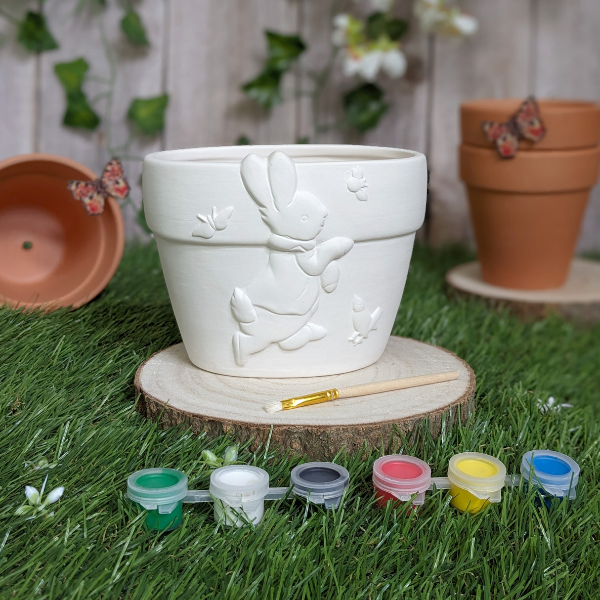 Peter Rabbit Paint Your Own Plant Pot - Children's Craft Kit