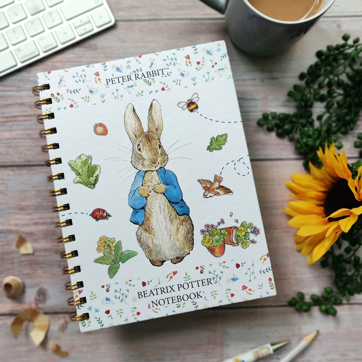 Peter Rabbit A5 Wired Notebook With Dividers