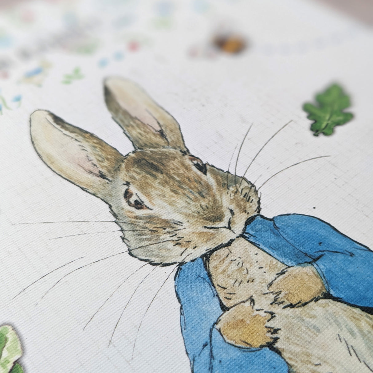 Peter Rabbit B5 Notebook