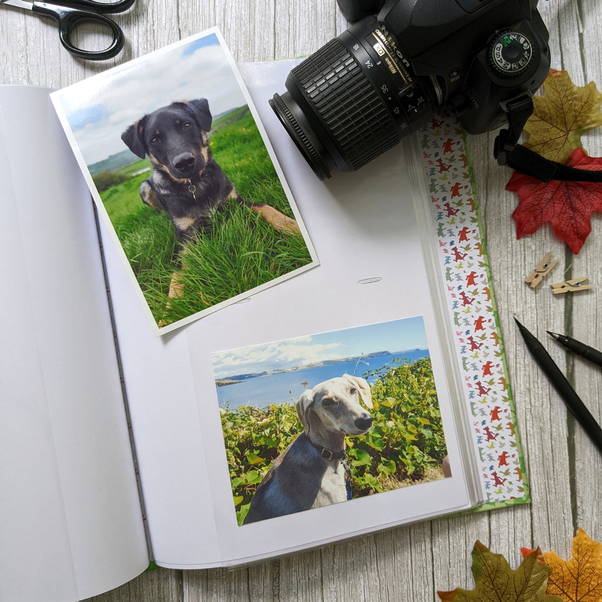 Percy The Park Keeper Portrait Photograph Album in Gift Box - Holds 100 Photographs