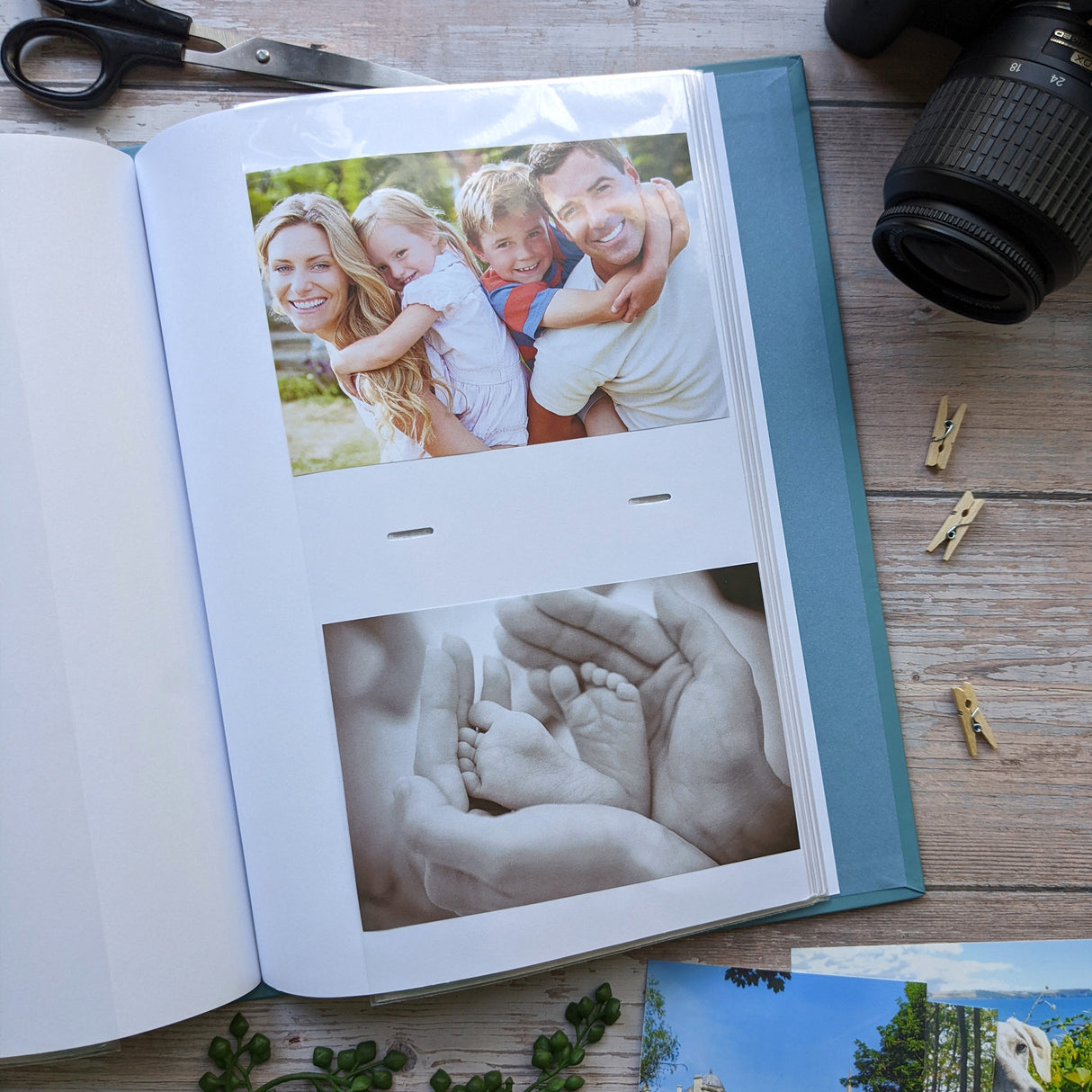 Beatrix Potter Portrait Photograph Album in Gift Box - Holds 100 Photographs