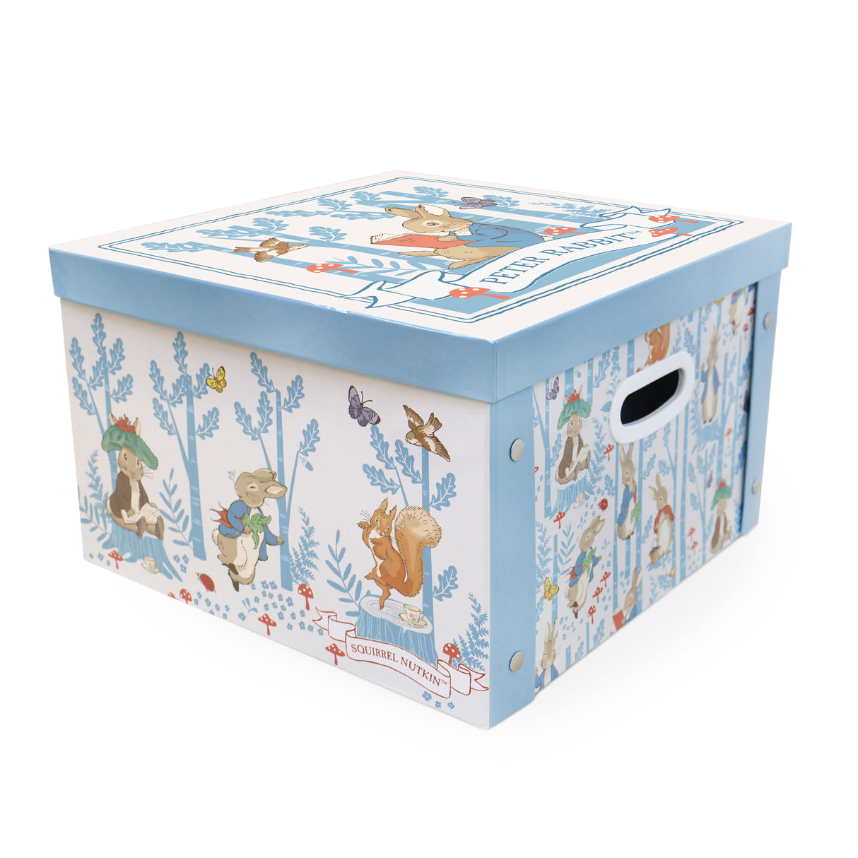 Peter Rabbit Forest Picnic Collapsible Storage Box