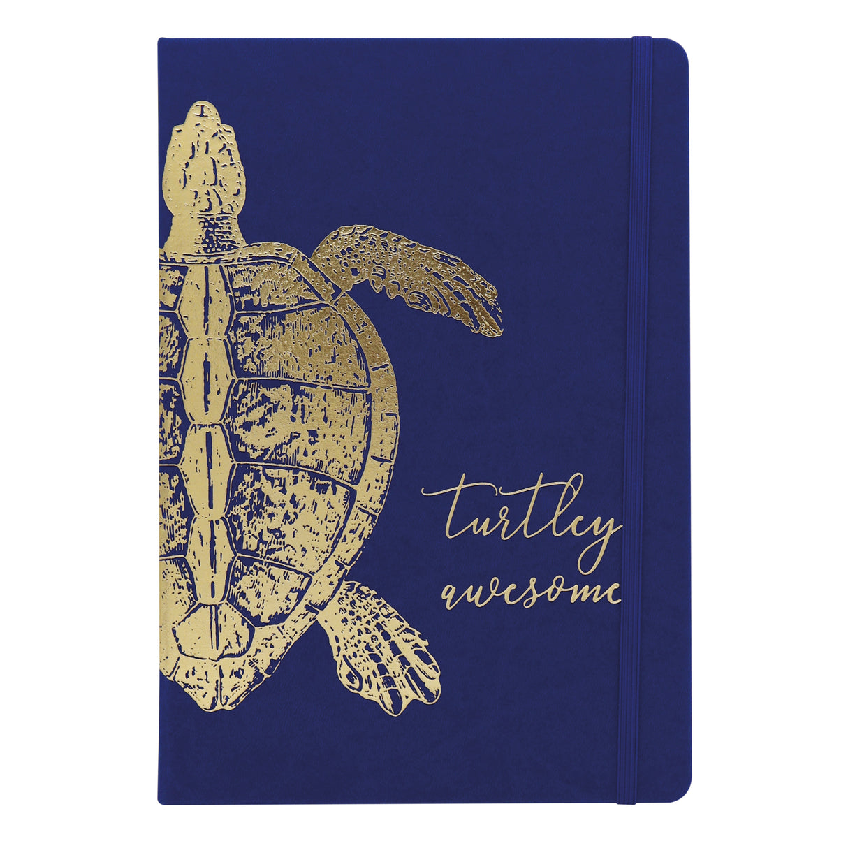 Premium B5 Lined Notebook Journal - Turtley Awesome Turtle Design