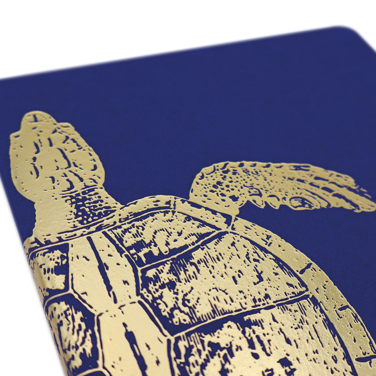 Premium B5 Lined Notebook Journal - Turtley Awesome Turtle Design