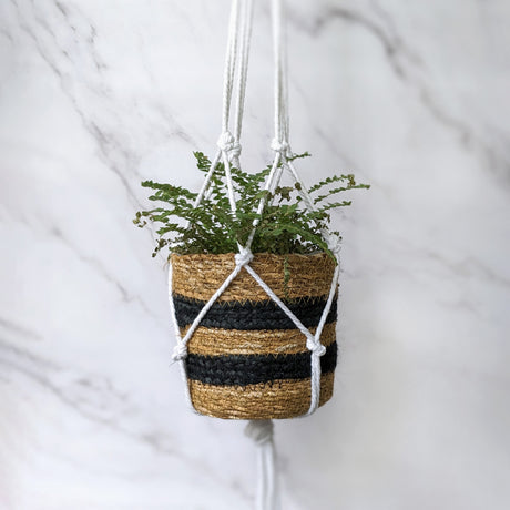 Luxe Décor Macrame Hanging Planter Kit