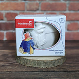 Paddington Paint Your Own Plant Pot - Children's Craft Kit