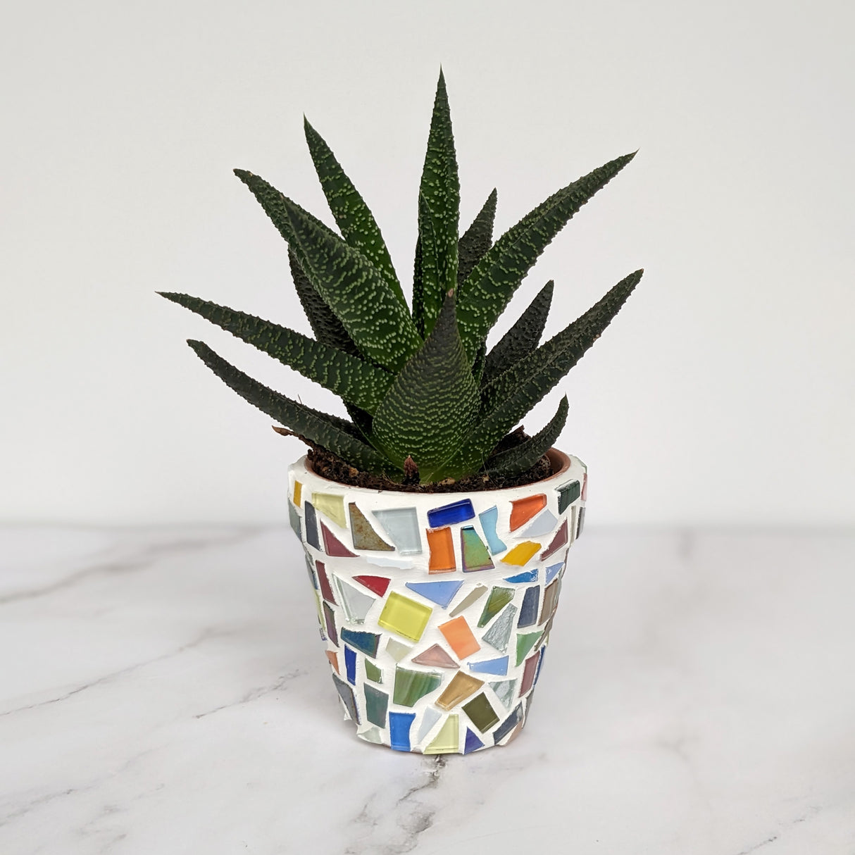 Luxe Décor Mosaic Garden Planter Kit