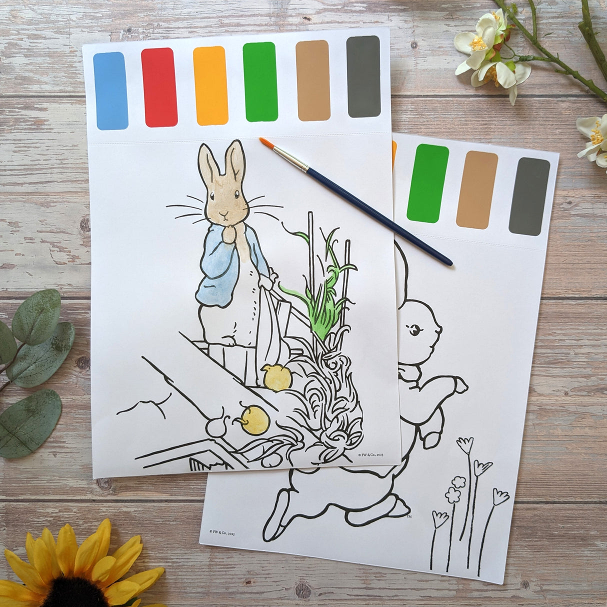 Beatrix Potter Paint Palette Art Set - For Ages 3 to 8 Years - Just Add Water