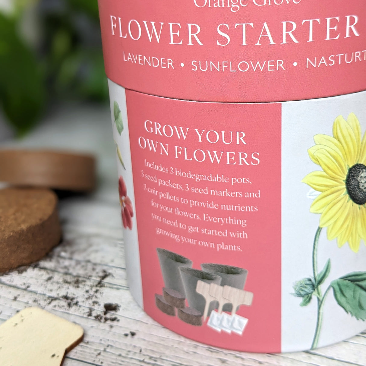 Flower Planter Kit - Includes Seeds, Peat Pots & Coir Pellets