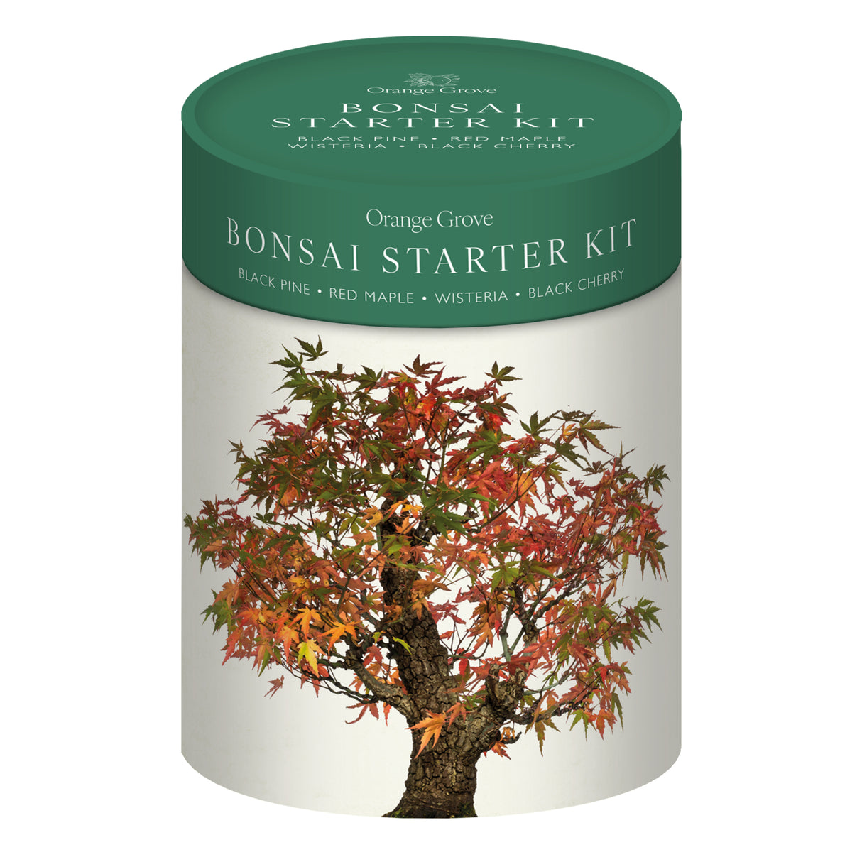 Bonsai Starter Kit - Includes Seeds, Bio Pots & Coir Pellets