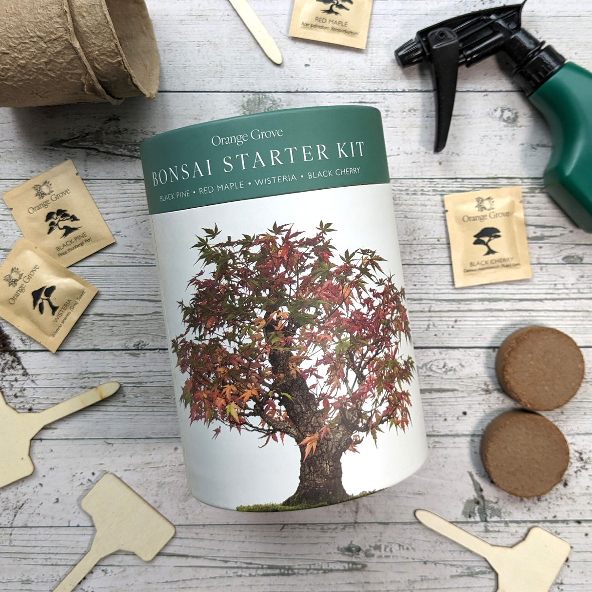 Bonsai Starter Kit - Includes Seeds, Bio Pots & Coir Pellets