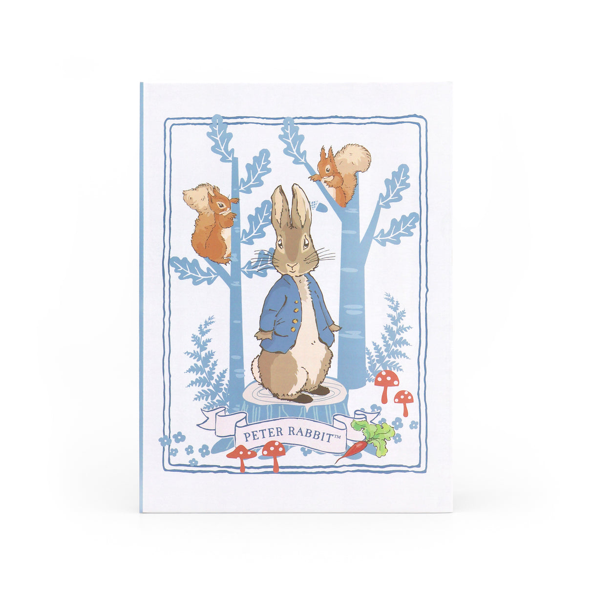 Peter Rabbit Planner and Notepad with Sticky Notes – A5 Forest Picnic Design