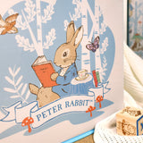 Peter Rabbit Fabric Storage Cubes – Pack of Two