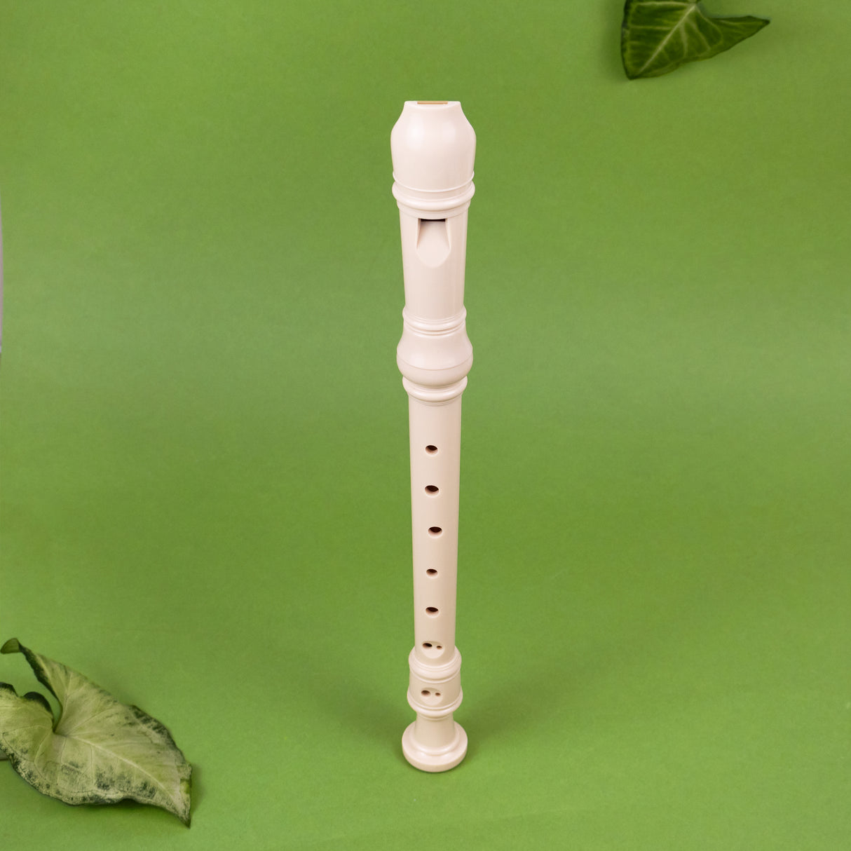 Learn To Play Recorder Set