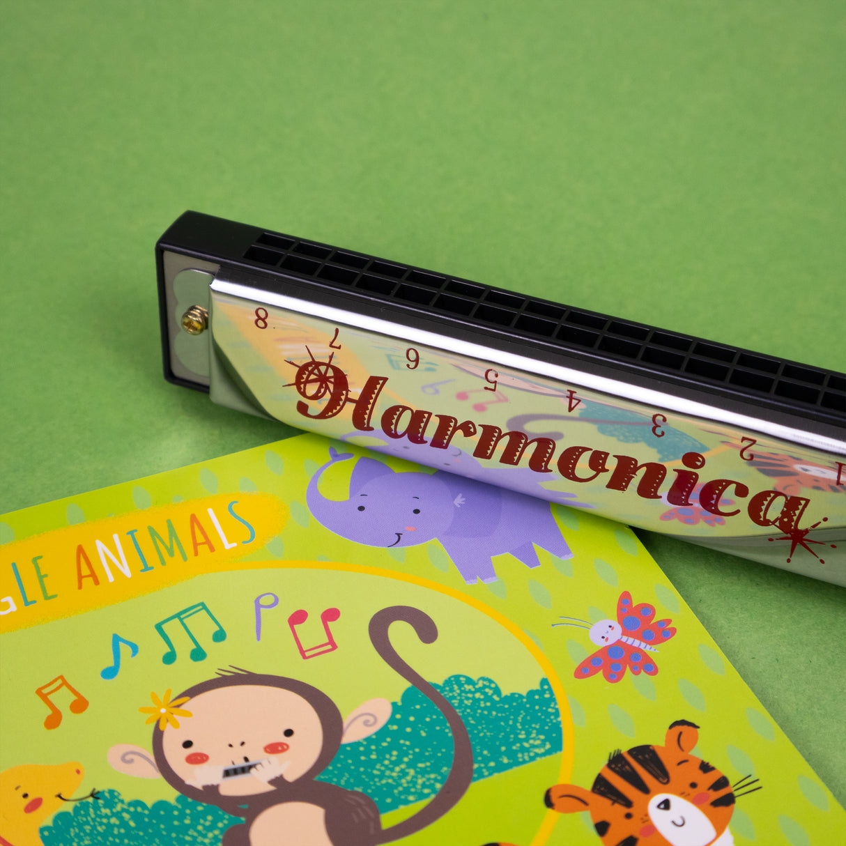 Learn To Play Harmonica Set