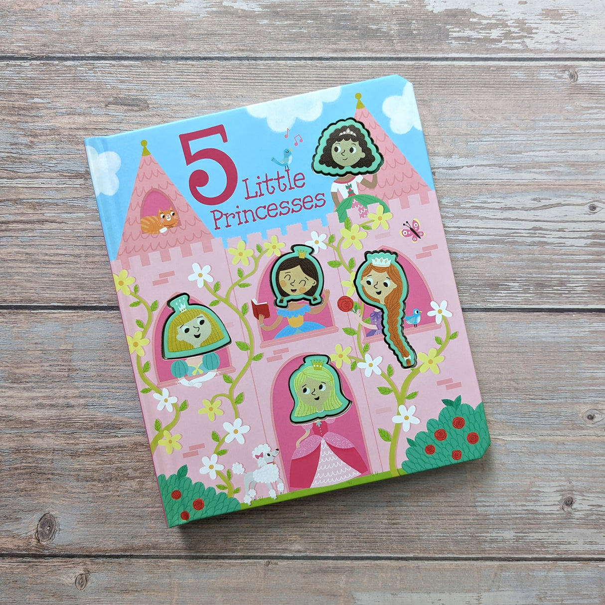 5 Little Princesses - Children's Touch & Feel Silicone Book