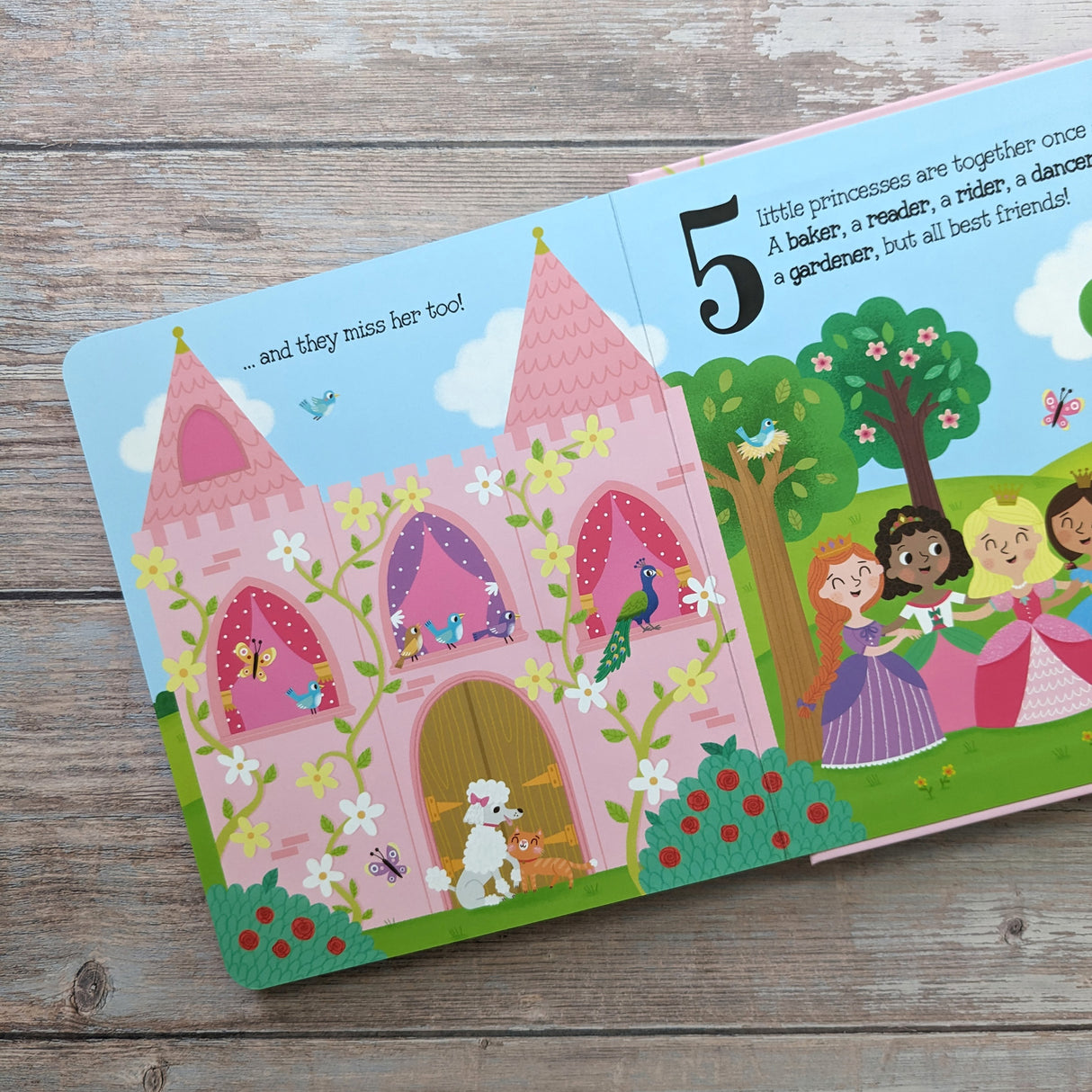 5 Little Princesses - Children's Touch & Feel Silicone Book