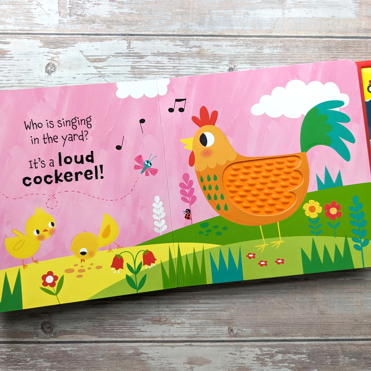 Touch and Feel On The Farm Silicone Sound Book - Tactile Fun For Children Aged 3 Years Upward – 5 Sound Buttons To Press And Play