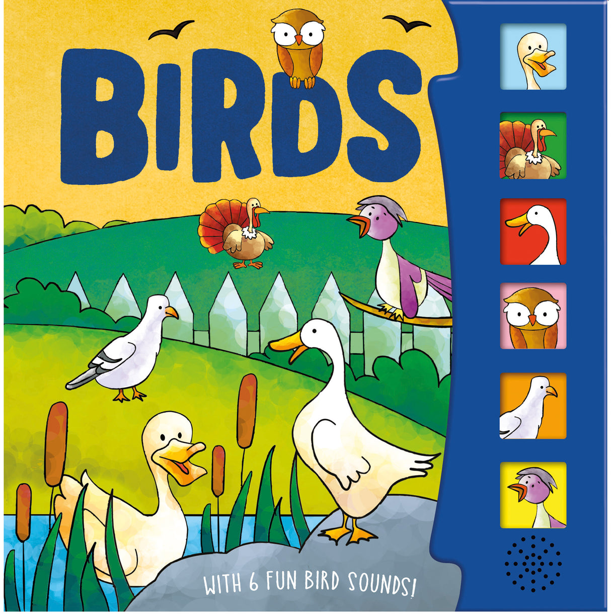 Birds – Children’s 6 Button Sound Book